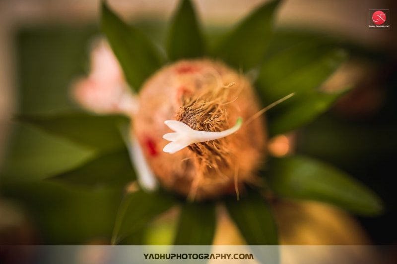 Yadhuphotography_Nandhini + Sindhujan_COVER