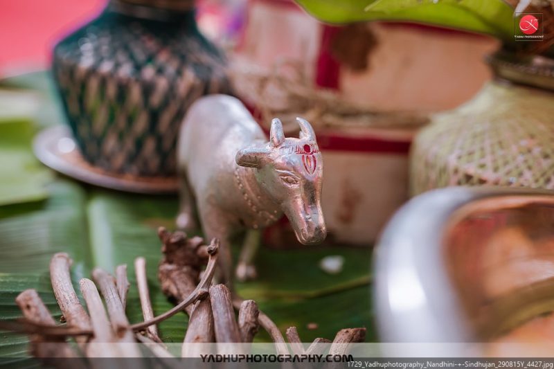 Yadhuphotography_Nandhini + Sindhujan_COVER